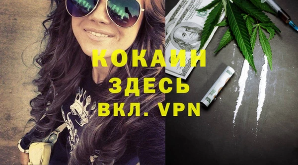 дмт Алексин