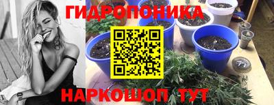 дмт Бузулук