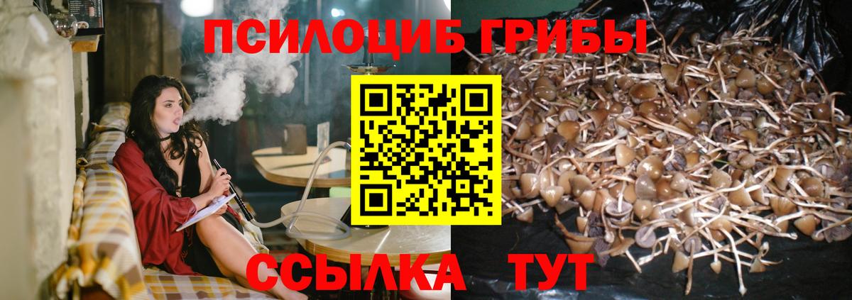 Галлюциногенные грибы Magic Shrooms  Вход с VPN  продажа наркотиков  Псилоцибиновые грибы MAGIC MUSHROOMS  Бахчисарай 